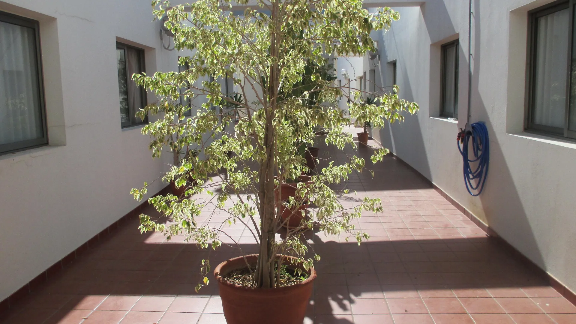 Hotel Avenida De Canarias Vecindario  Vecindario (Gran Canaria)